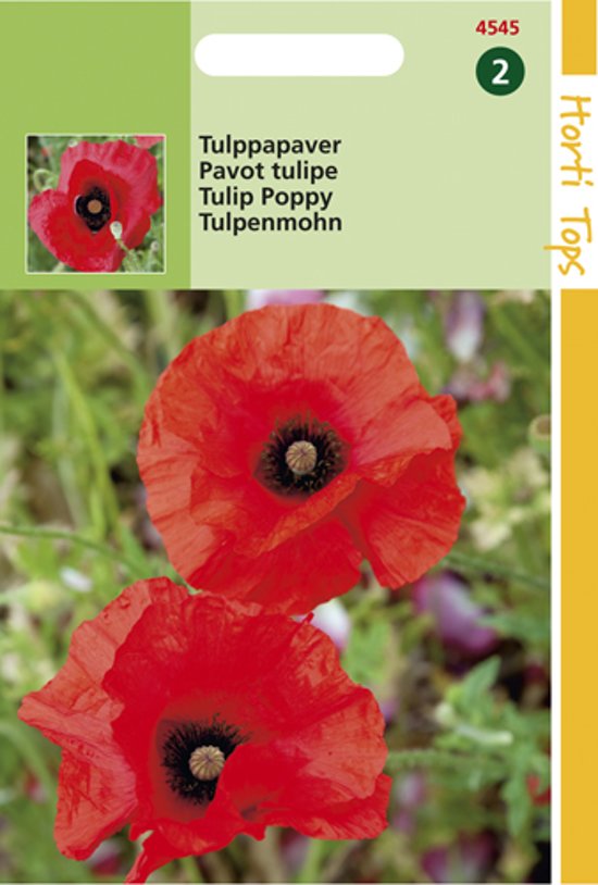 Tulip Poppy (Papaver glaucum) 5000 seeds
